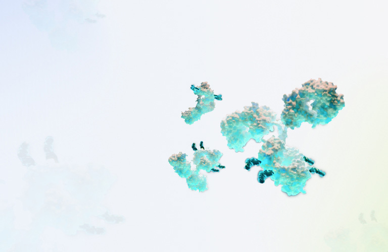 c1_2_2banph-617.jpg
